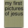 My First Pictures of Jesus by Maite Roche