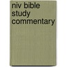 Niv Bible Study Commentary by John Sailhamer