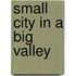 Small City in a Big Valley