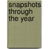 Snapshots Through The Year