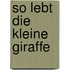 So Lebt Die Kleine Giraffe