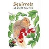 Squirrels of North America by Millie Miller