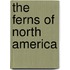 The Ferns Of North America