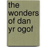 The Wonders Of Dan Yr Ogof door Sarah Symons
