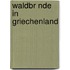 Waldbr Nde In Griechenland