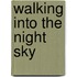 Walking Into the Night Sky