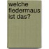 Welche Fledermaus ist das?