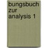 bungsbuch zur Analysis 1