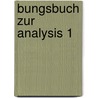bungsbuch zur Analysis 1 door Otto Forster