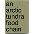 An Arctic Tundra Food Chain