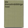 Die dreizehnblättrige Rose door Rabbi Adin Steinsaltz