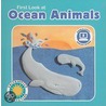 First Look at Ocean Animals by Jamie Mccune