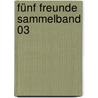 Fünf Freunde Sammelband 03 door Enid Blyton