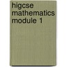Higcse Mathematics Module 1 door University of Cambridge Local Examinations Syndicate