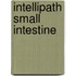Intellipath Small Intestine