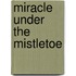 Miracle Under the Mistletoe