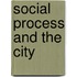 Social Process And The City