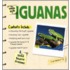 The Simple Guide To Iguanas
