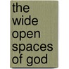 The Wide Open Spaces Of God by Beth Booram