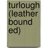 Turlough (Leather Bound Ed) door Brian Keenan