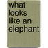 What Looks Like an Elephant