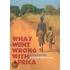 What Went Wrong With Africa