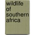 Wildlife Of Southern Africa