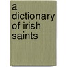 A Dictionary Of Irish Saints door Padraig Oriain