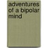 Adventures Of A Bipolar Mind