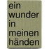 Ein Wunder in meinen Händen