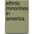 Ethnic Minorities In America