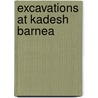 Excavations At Kadesh Barnea door Rudolph Cohen