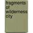 Fragments Of Wilderness City