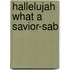 Hallelujah What A Savior-Sab