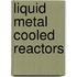 Liquid Metal Cooled Reactors