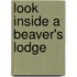 Look Inside a Beaver's Lodge