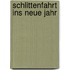 Schlittenfahrt ins neue Jahr
