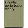 Singular Perturbation Theory door Lindsay Skinner