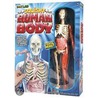 Smart Lab Squishy Human Body door Lucille M. Kayes