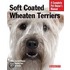 Soft Coated Wheaton Terriers