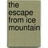 The Escape From Ice Mountain