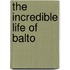 The Incredible Life of Balto