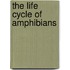 The Life Cycle Of Amphibians