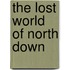 The Lost World Of North Down