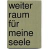 Weiter Raum für meine Seele door Reinhold Ruthe