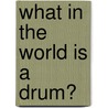 What In The World Is A Drum? by Mary Elizabeth Salzmann