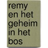 Remy en het geheim in het bos