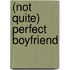 (Not Quite) Perfect Boyfriend