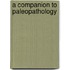 A Companion To Paleopathology