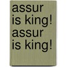 Assur Is King! Assur Is King! door Steven W. Holloway